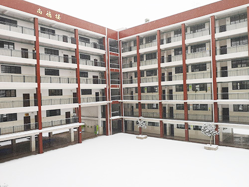校园雪景