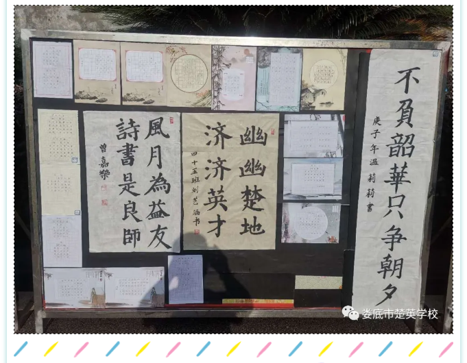 娄底教育,娄底英语培训,娄底民办教育,娄底市楚英学校,楚英学校