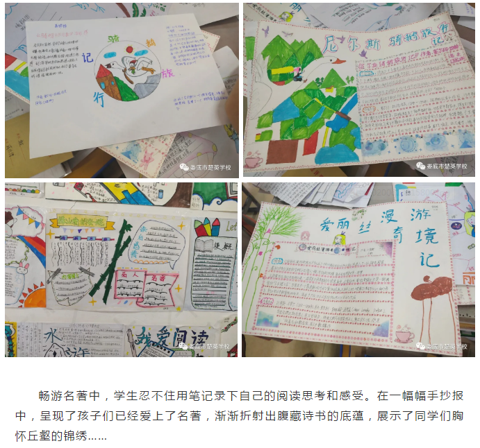 娄底教育,娄底英语培训,娄底民办教育,娄底市楚英学校,楚英学校