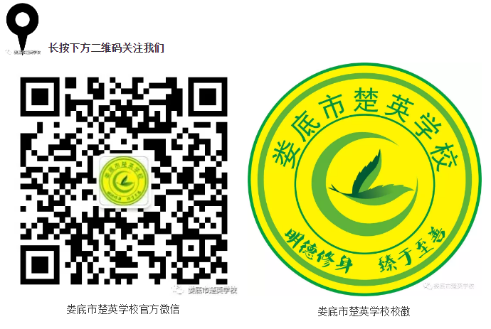 娄底教育,娄底英语培训,娄底民办教育,娄底市楚英学校,楚英学校