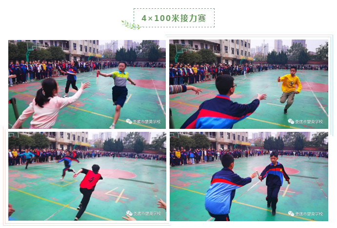 娄底教育,娄底英语培训,娄底民办教育,娄底市楚英学校,楚英学校