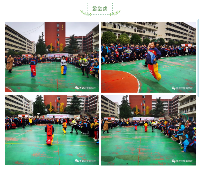 娄底教育,娄底英语培训,娄底民办教育,娄底市楚英学校,楚英学校