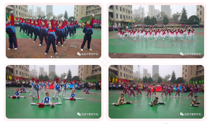 娄底教育,娄底英语培训,娄底民办教育,娄底市楚英学校,楚英学校