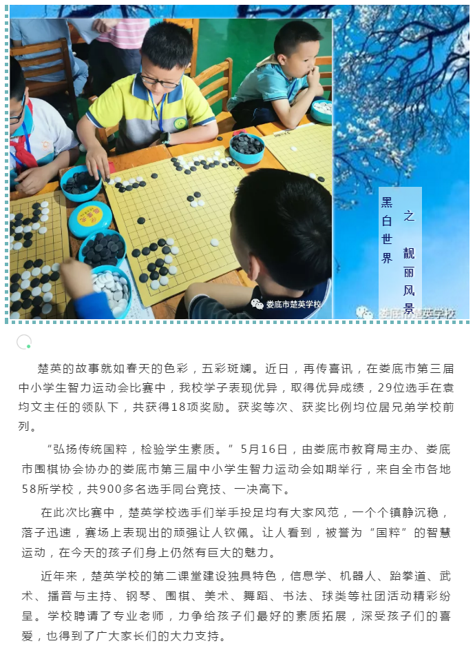 娄底教育,娄底英语培训,娄底民办教育,娄底市楚英学校,楚英学校