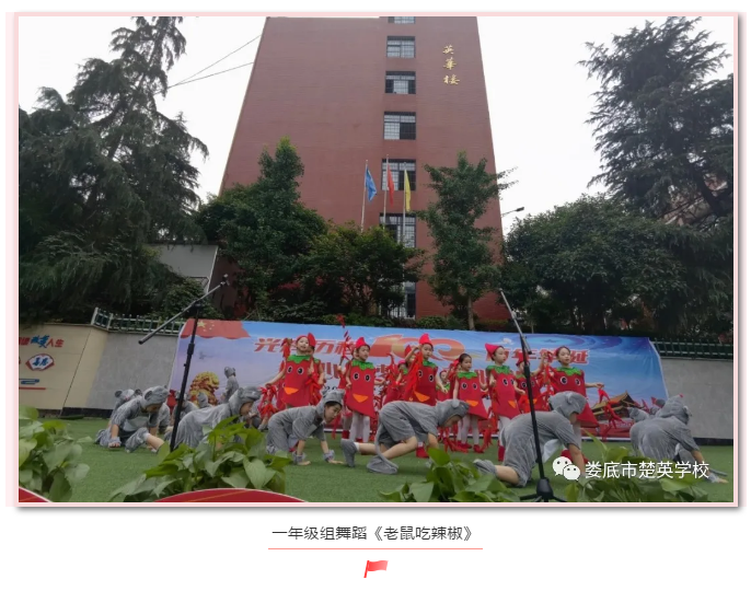 娄底教育,娄底英语培训,娄底民办教育,娄底市楚英学校,楚英学校