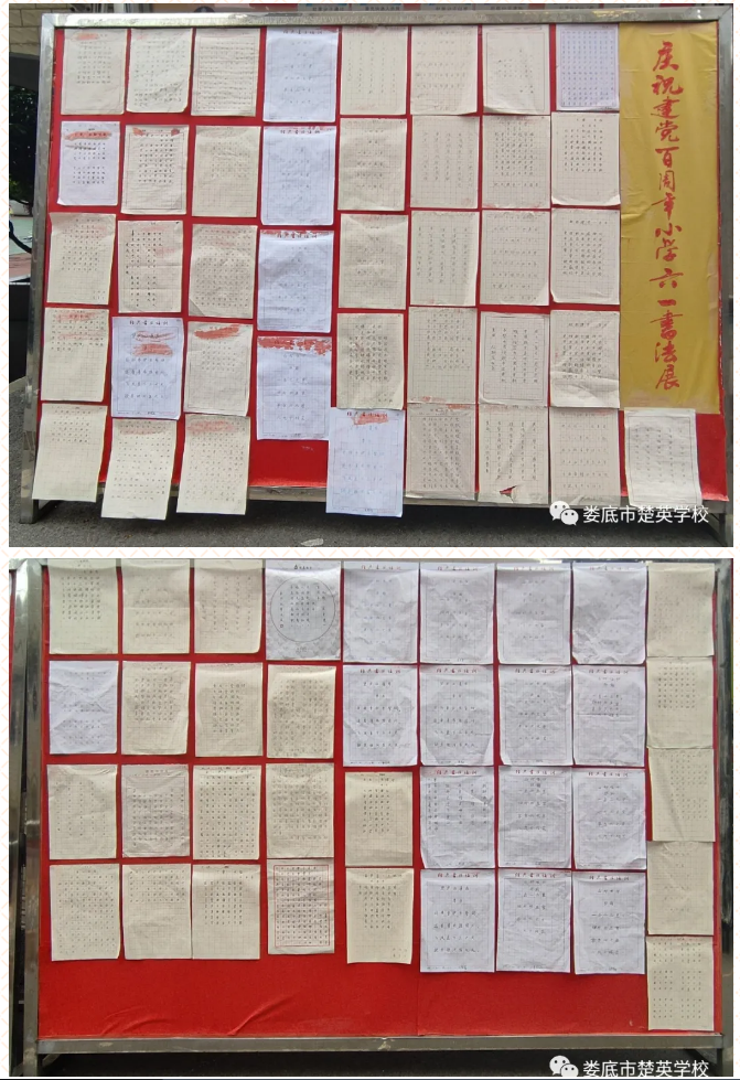 娄底教育,娄底英语培训,娄底民办教育,娄底市楚英学校,楚英学校