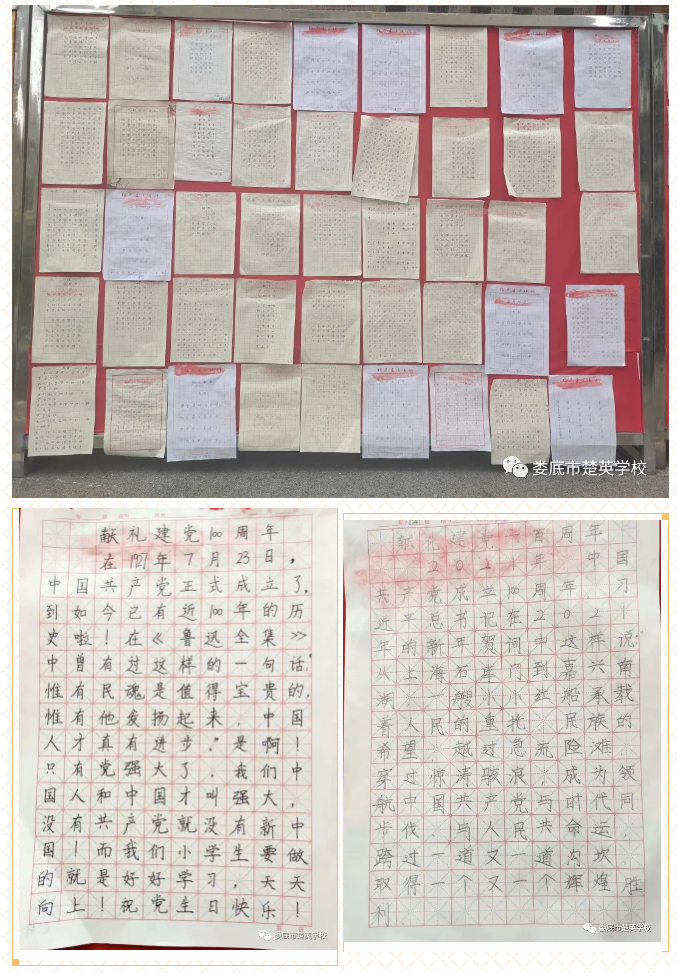 娄底教育,娄底英语培训,娄底民办教育,娄底市楚英学校,楚英学校