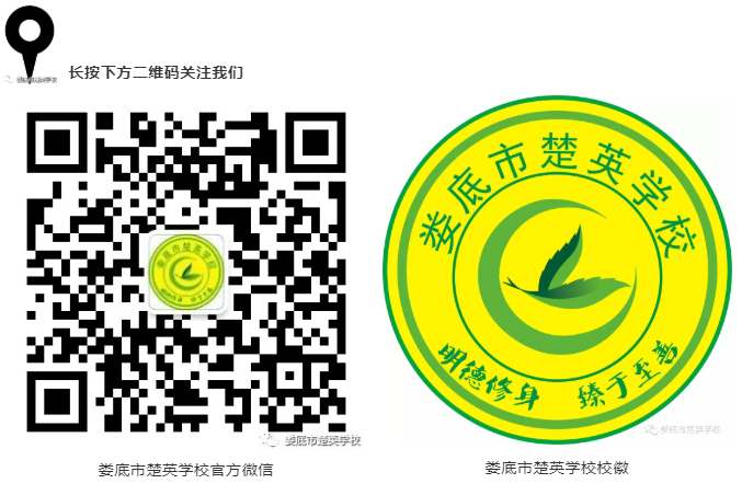 娄底教育,娄底英语培训,娄底民办教育,娄底市楚英学校,楚英学校