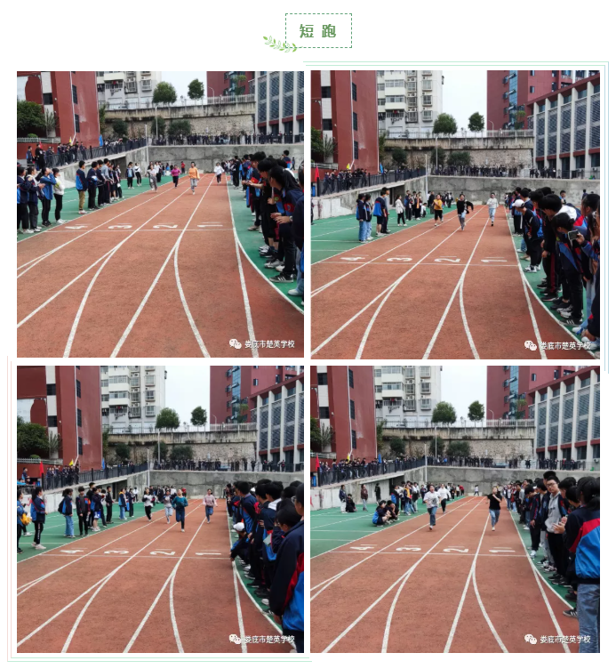 娄底教育,娄底英语培训,娄底民办教育,娄底市楚英学校,楚英学校