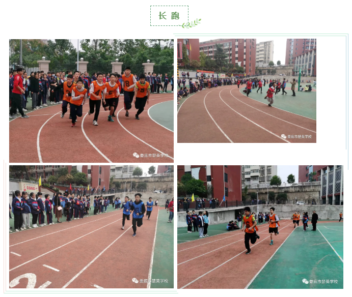娄底教育,娄底英语培训,娄底民办教育,娄底市楚英学校,楚英学校