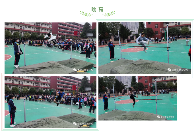 娄底教育,娄底英语培训,娄底民办教育,娄底市楚英学校,楚英学校