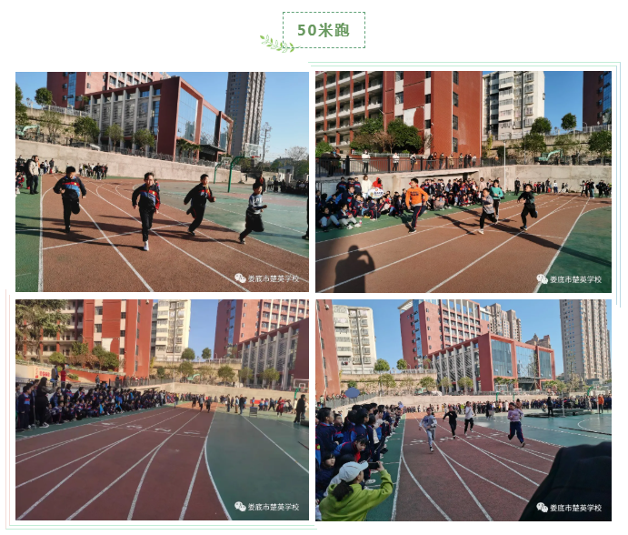 娄底教育,娄底英语培训,娄底民办教育,娄底市楚英学校,楚英学校