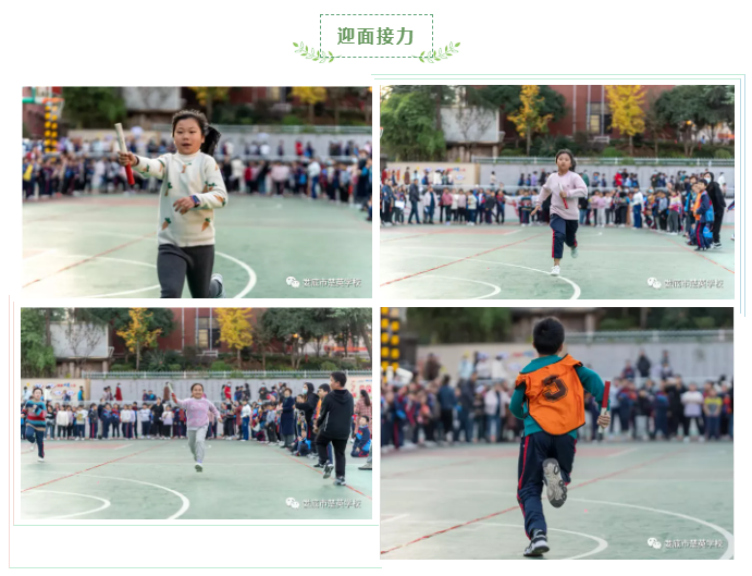 娄底教育,娄底英语培训,娄底民办教育,娄底市楚英学校,楚英学校