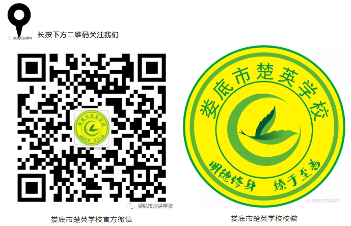 娄底教育,娄底英语培训,娄底民办教育,娄底市楚英学校,楚英学校
