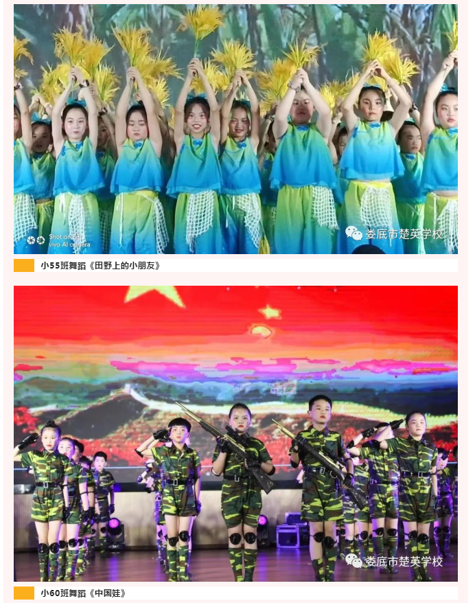 娄底教育,娄底英语培训,娄底民办教育,娄底市楚英学校,楚英学校