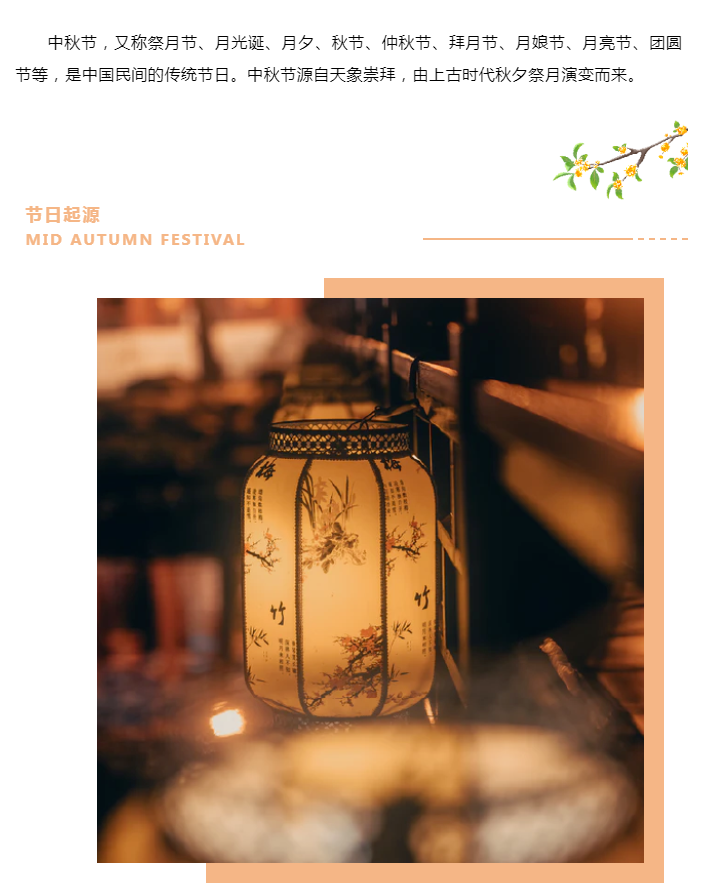 娄底教育,娄底英语培训,娄底民办教育,娄底市楚英学校,楚英学校
