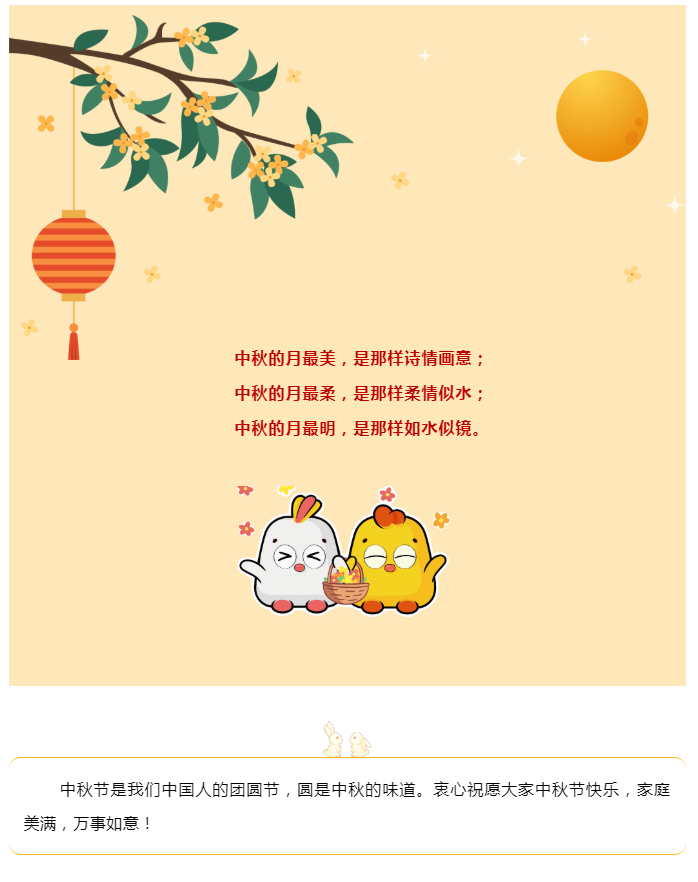 娄底教育,娄底英语培训,娄底民办教育,娄底市楚英学校,楚英学校