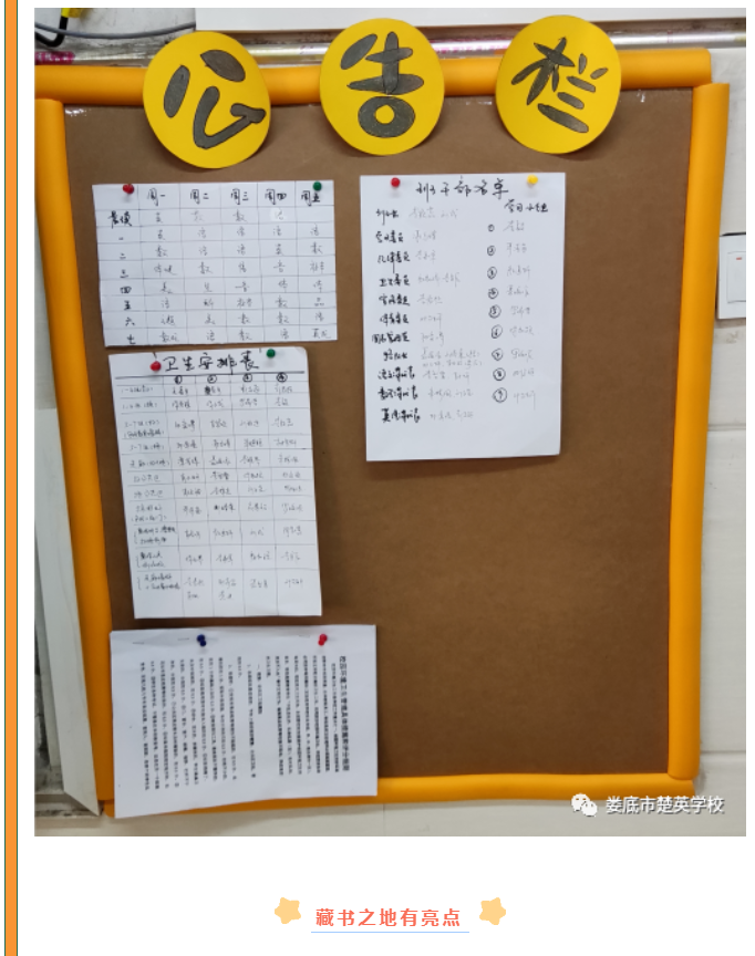 娄底教育,娄底英语培训,娄底民办教育,娄底市楚英学校,楚英学校