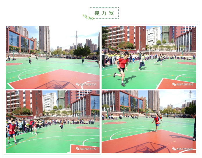 娄底教育,娄底英语培训,娄底民办教育,娄底市楚英学校,楚英学校