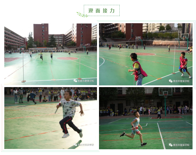 娄底教育,娄底英语培训,娄底民办教育,娄底市楚英学校,楚英学校
