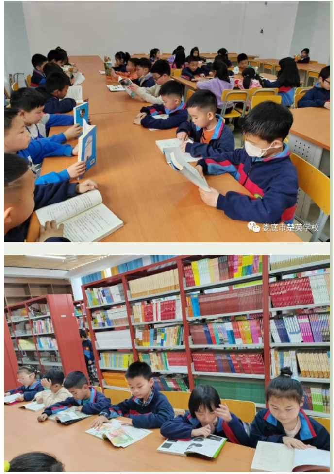 娄底教育,娄底英语培训,娄底民办教育,娄底市楚英学校,楚英学校