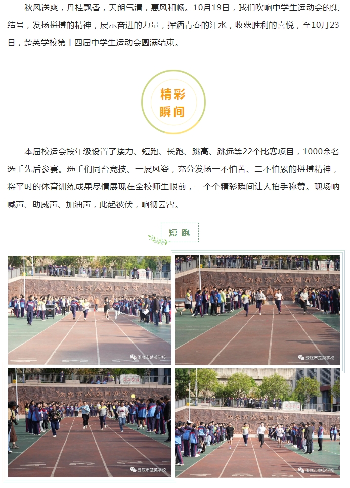 娄底教育,娄底英语培训,娄底民办教育,娄底市楚英学校,楚英学校