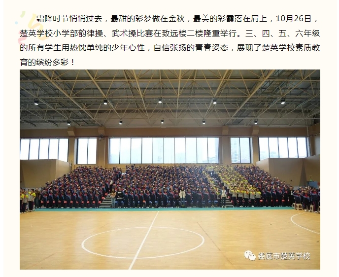 娄底教育,娄底英语培训,娄底民办教育,娄底市楚英学校,楚英学校