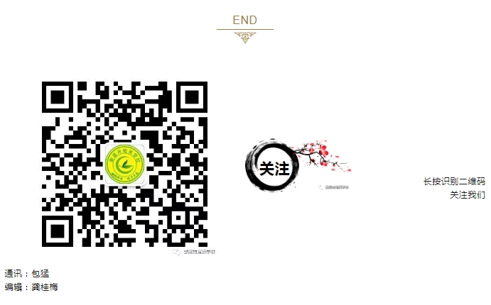 娄底教育,娄底英语培训,娄底民办教育,娄底市楚英学校,楚英学校