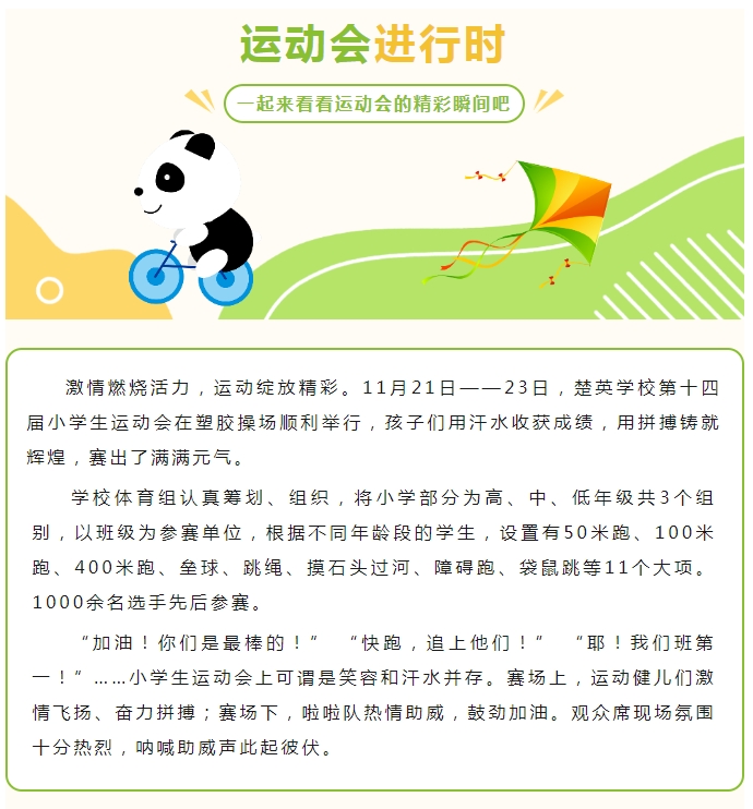 娄底教育,娄底英语培训,娄底民办教育,娄底市楚英学校,楚英学校